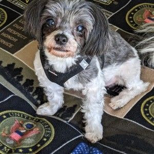 Meet your Posher, Larry